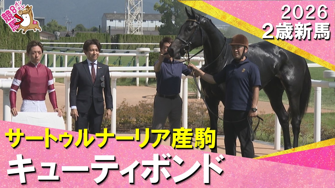 関連動画2