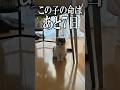 同じ病気でも、助かる子と助からない子、、なにがちがうのだろうか。