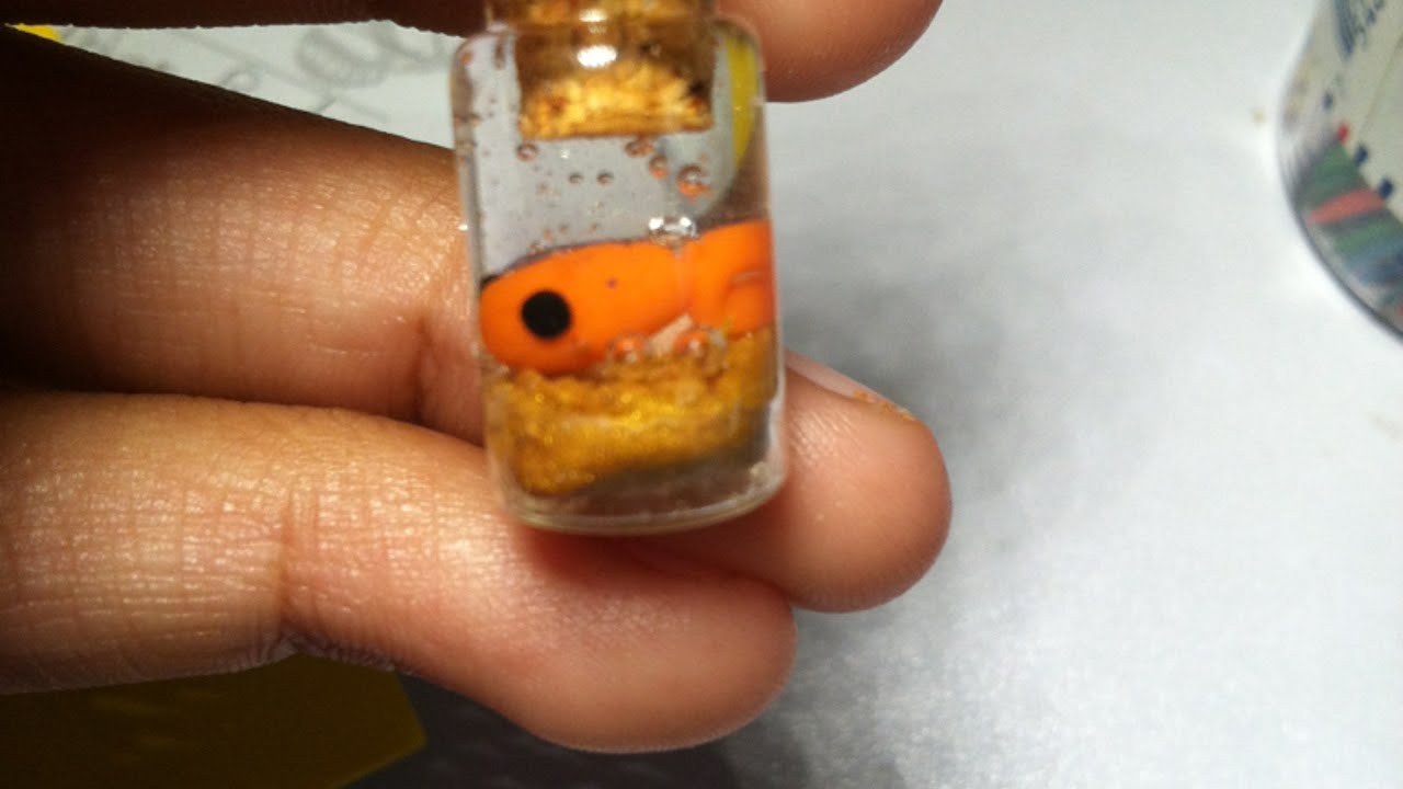 crea un adorabile mini acquario in bottiglia - fai da te style ... - Plexiglass Per Acquario Fai Da Te crea un adorabile mini acquario in bottiglia - fai da te style ... - Plexiglass Per Acquario Fai Da Te