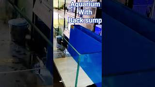 extra clear glass aquarium| back sump aquarium| zero silicone aquarium