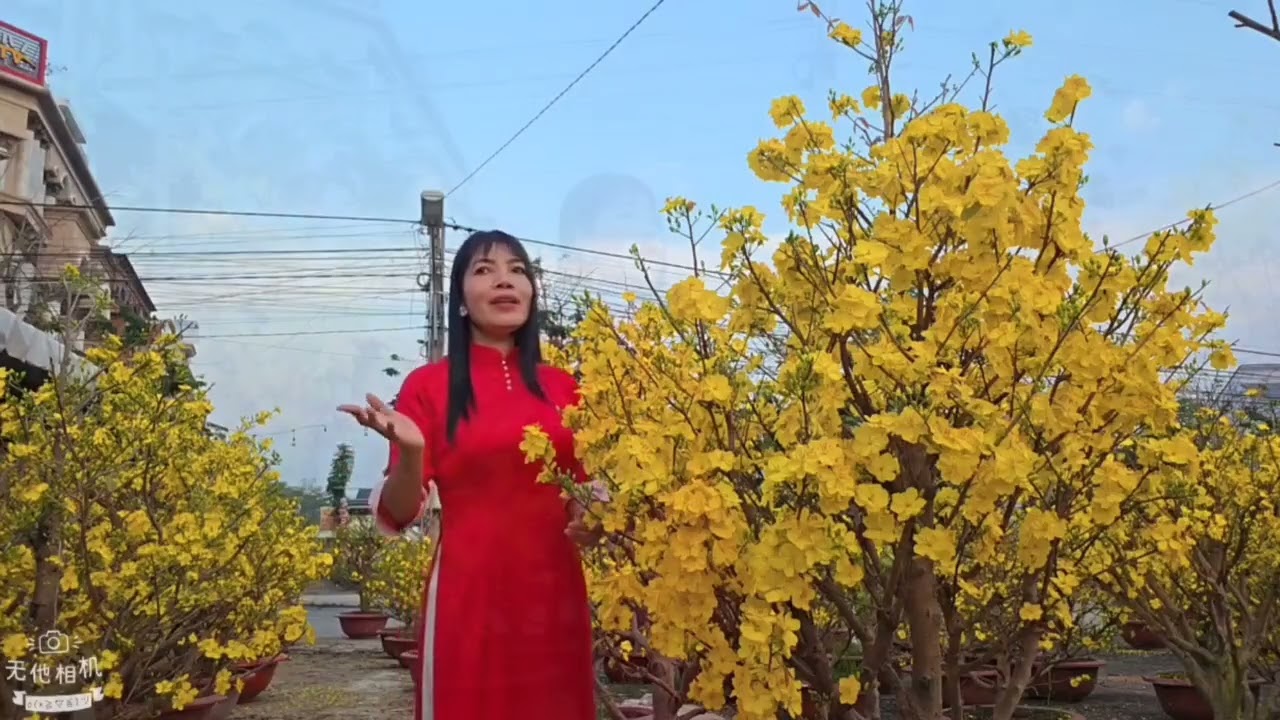 Cánh Thiệp Đầu Xuân ( Lê Vinh & Minh Kỳ) Cover Như Ý 