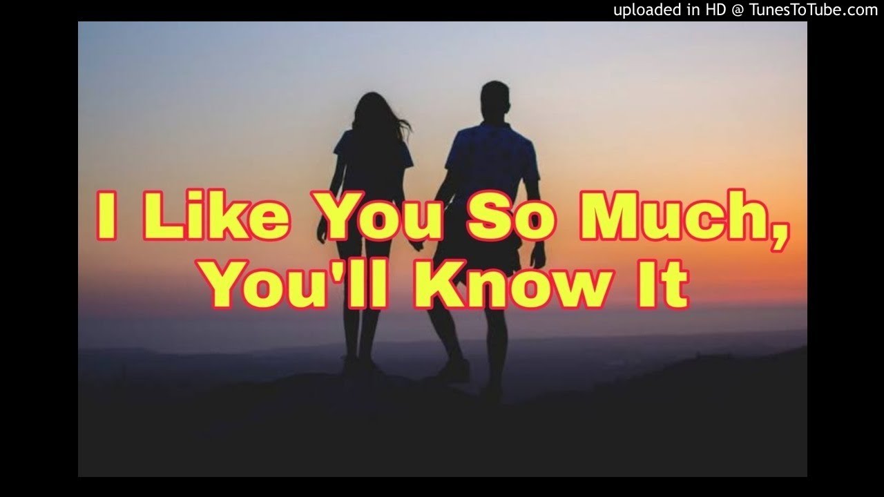 I Like You So Much, You'll Know It ( Dj Jack Tekno Remix