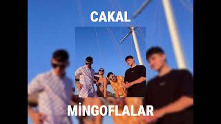 CAKAL - MİNGOFLALAR (Speed up) Resimi