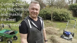 Miscanthus Mulch ... best stuff