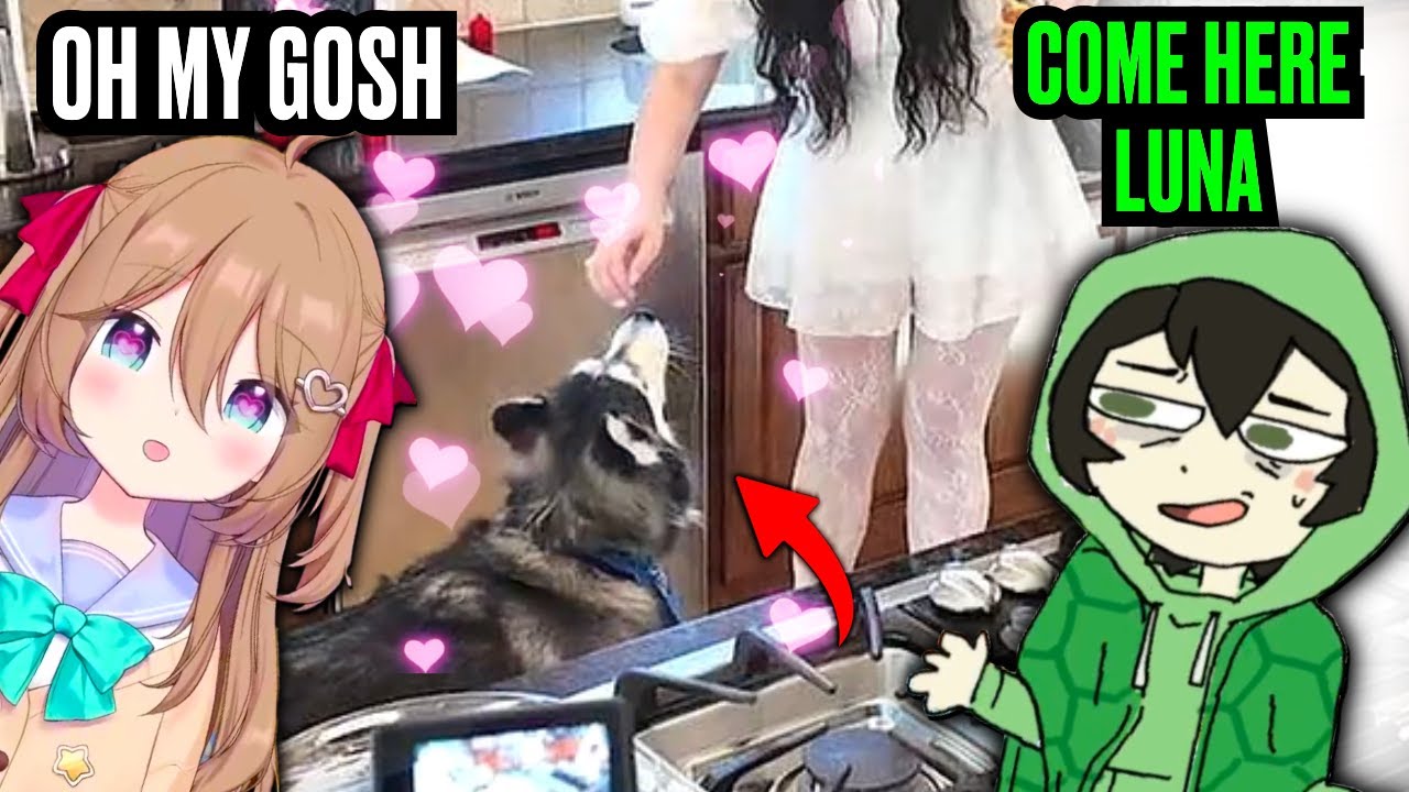 Neuro Gets So Excited To See Layna's Dog