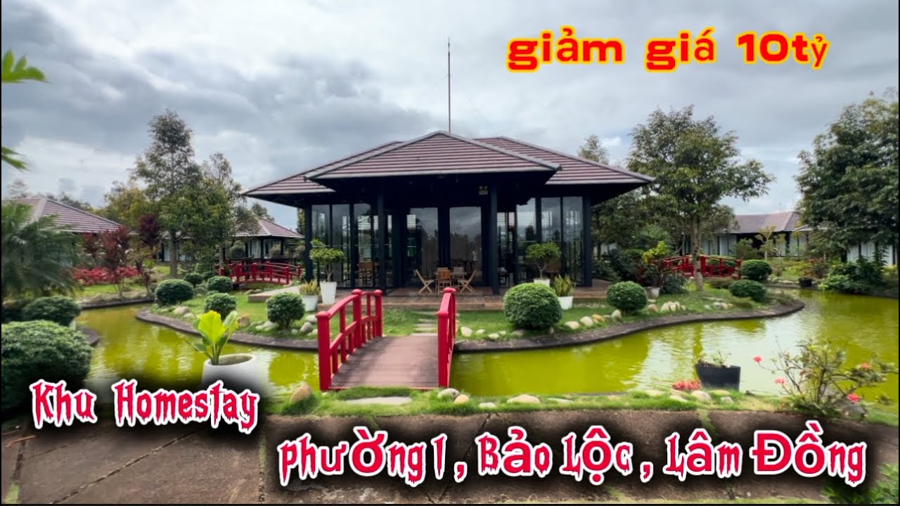 Khu homestay cực đẹp tại phường 1, Bảo Lộc ,Lâm Đồng ,giảm giá sâu cần bán nhanh