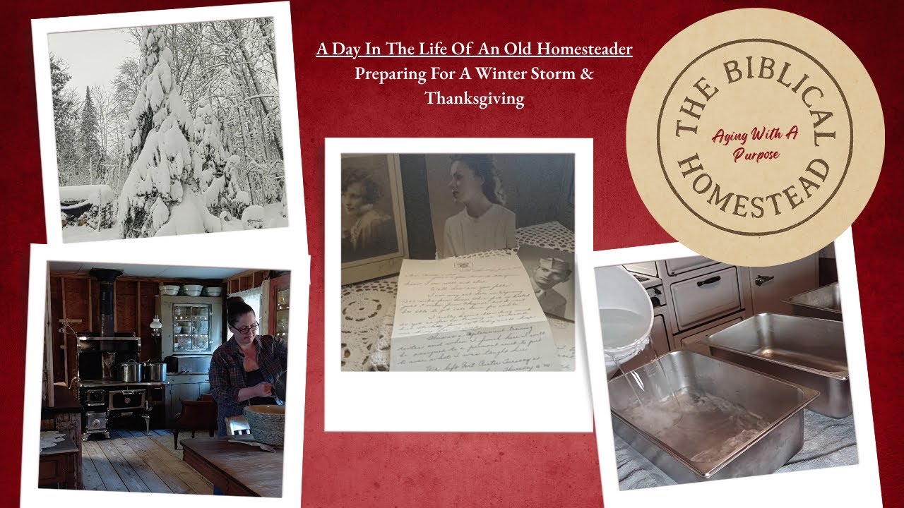 Подготовка к зимней буре | Тихая подготовка к Дню благодарения в домике