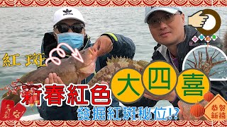 新春紅色大四喜..發掘紅斑秘位? 香港釣魚 艇釣 博士排口 粵語旁白中英文字幕
