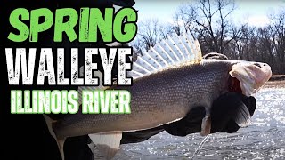 Spring Walleye Fishing the Illinois River!! 