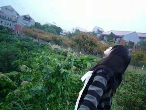 【Silent Flame 沉默的火焰】