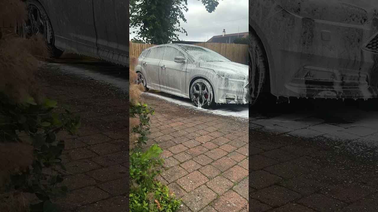 Maintenance Detail on the Focus ST