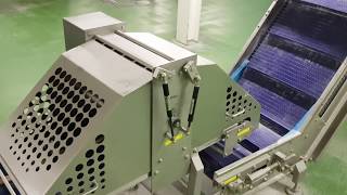 Flat Bread Sheeting Line
