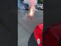 4 inch Apocalypse shell #salute #fireworks