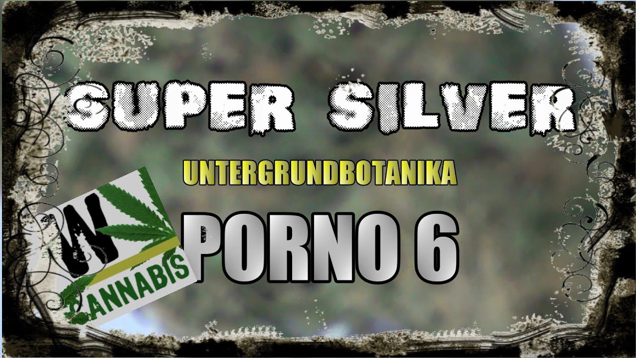 Untergrundbotanika Porno #6: Super Silver