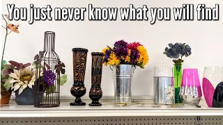 You never know what you will find-Goodwill Thrift with Me & Haul-Thrifting in 2022