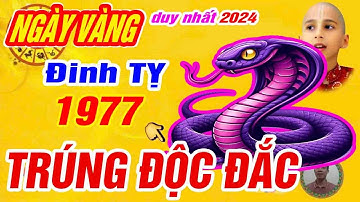 🔴xuất hiện ngày vàng duy nhất nổ lộc lớn. tuổi đinh tỵ 1977 trời thương phật độ trúng số cực giàu