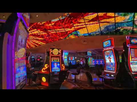 Saullo forra o mundo e não acredita !! #blaze #slots #saullopez