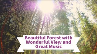 Beautiful Forest with Wonderful View and Great Music