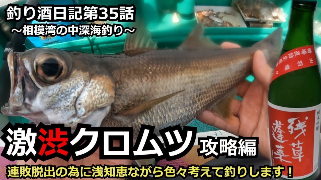 【相模湾クロムツ】激渋デーでも何とか釣果に繋げて脂ノリノリ旨魚を楽しみます！