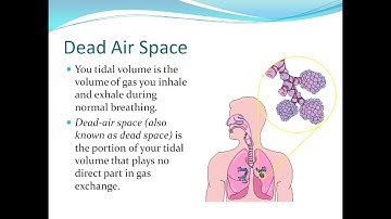 Dive Physiology - PADI Divemaster exam and Instructor exam