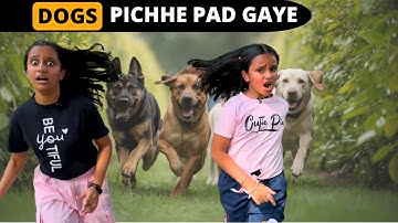 BACHAOOOO ... कुत्ते पीछे पड़ गए  | Kutte Pichhe Pad Gaye
