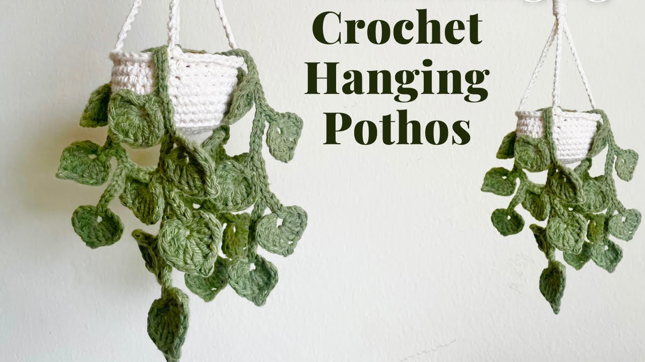 EASY Crochet Mini Hanging Money Plant
