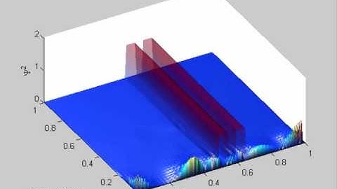 Two-Dimensional Nonlinear Schrödinger Equation