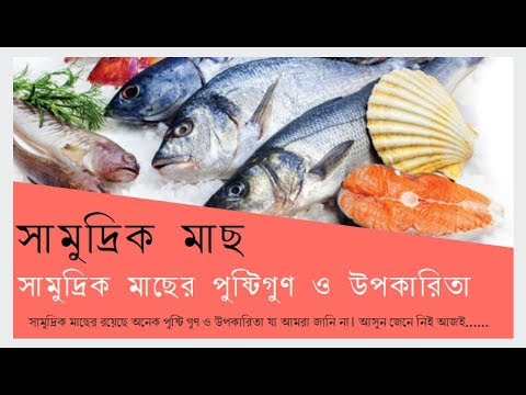 ভিডিও: স্বাস্থ্যকর সমুদ্রের মাছ কী