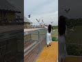 飛飛飛飛飛 #賽鴿 #鴿舍