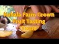 Hawaii Exotic Fruit Farm Tour