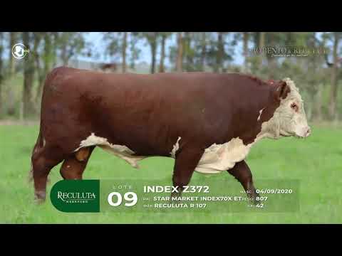 Lote 9 - RECULUTA INDEX Z372