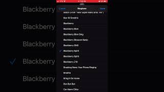 Blackberry Spirit Short And Long Versions