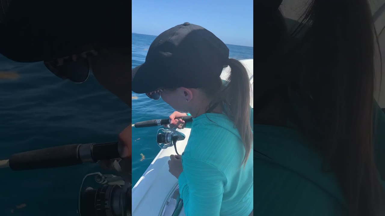 Slaying Yellow Tails 😋 