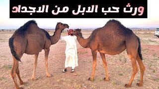 كيف عرفت الابل بموت مالكها