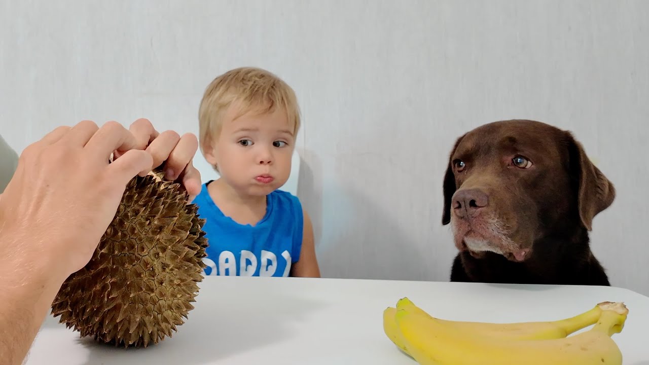 Hilarious Reaction! I Open Durian in Front of My Boy and Dog! - YouTube
