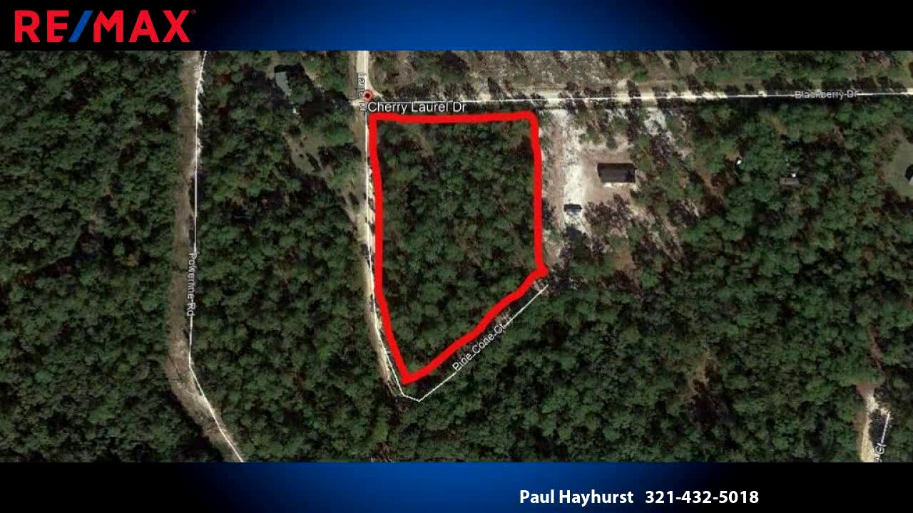 Homes for sale 0 Blackberry Dr. Melrose Fl. Drive, Satsuma, FL 32189