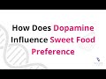 Why Do We Prefer Sugary Foods? The Dopamine Reward System