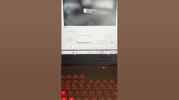 #shorts Every subscriber = 1 duck