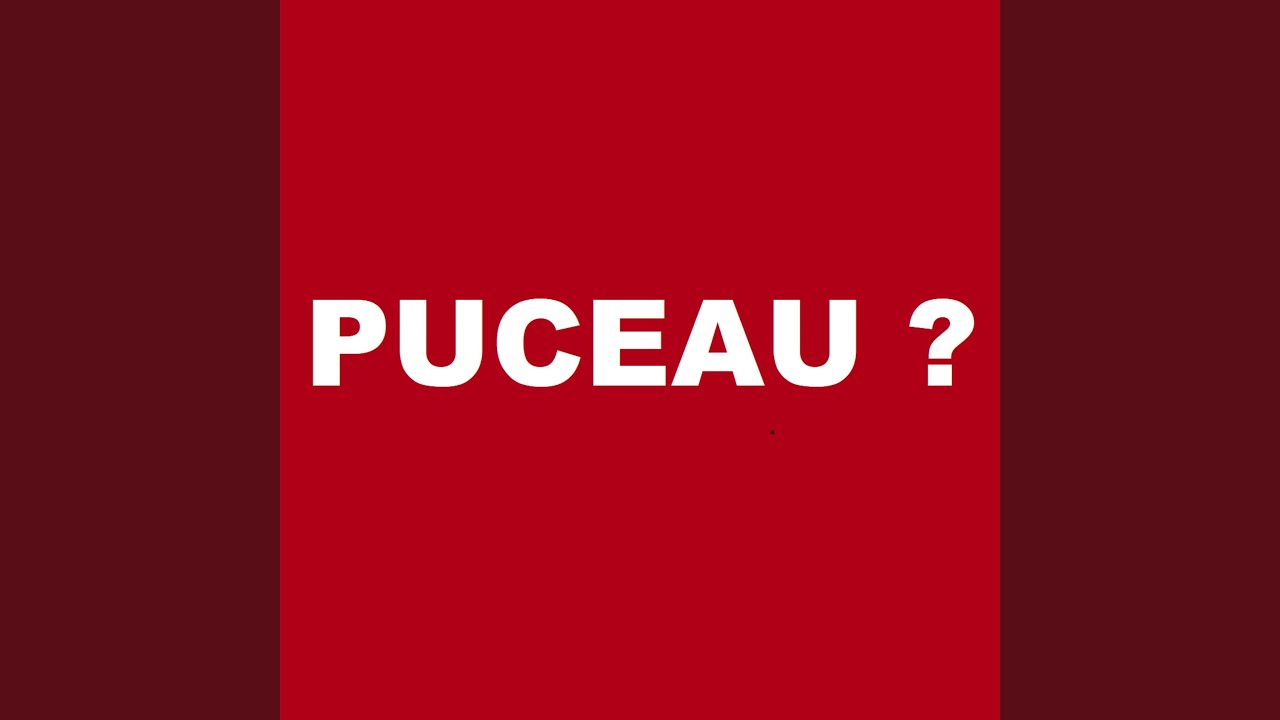 Puceau moi ? - KronoMuzik