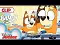 Bluey Season 3 Episode 4 " Omelette" Episode Clip | @disneyjunior  | @BlueyOfficialChannel