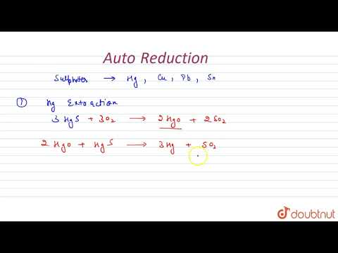 Video: Hvad menes der med autoreduktion?