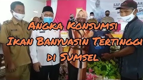 WOW!!! Angka Konsumsi Ikan di Banyuasin Tertinggi di Sumsel