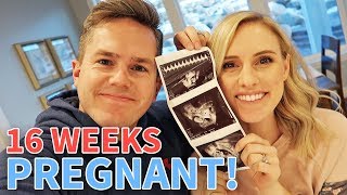 16 WEEKS PREGNANT ULTRASOUND!