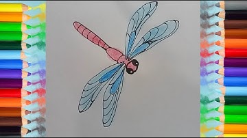 How to Draw a Dragonfly - Dragonfly drawing and coloring