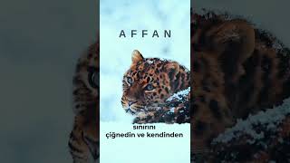 Acı Gerçek 3 En Büyük Darbeyi Kendine Vurdun.