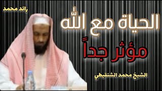 ما الحكمة من الهم والفرح..!|الشيخ محمد مختار الشنقيطي..|فتاوى تيوب..