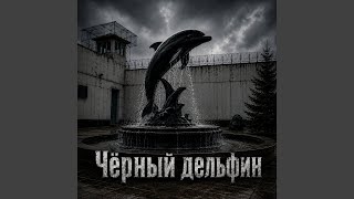 Чёрный дельфин
