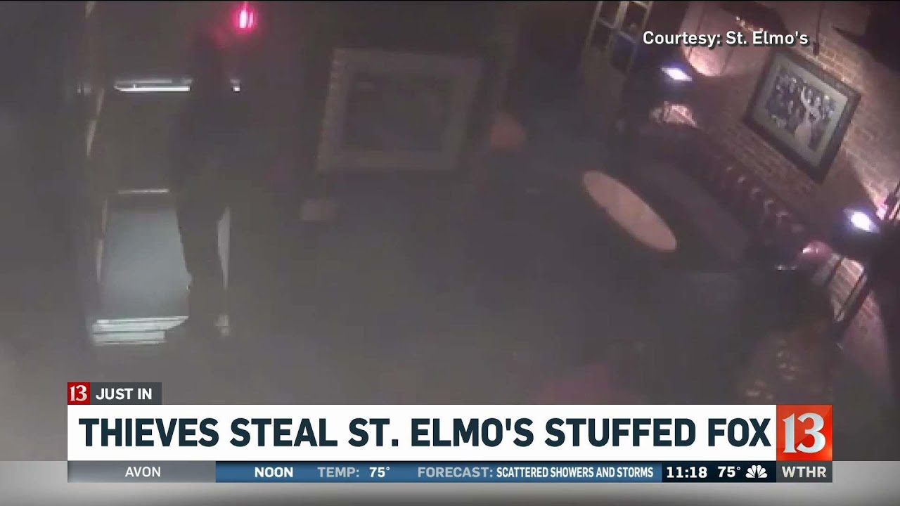 St. Elmo's Stuffed Fox Stolen - Youtube