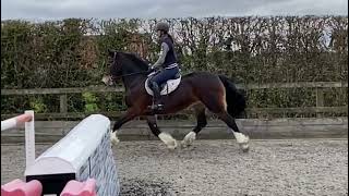 Ad ref 271737 Video 1