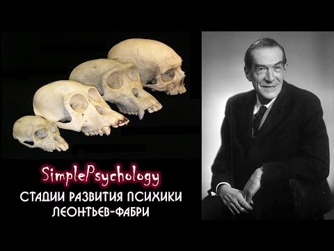 История зоопсихологии. Стадии развития психики Леонтьева-Фабри.